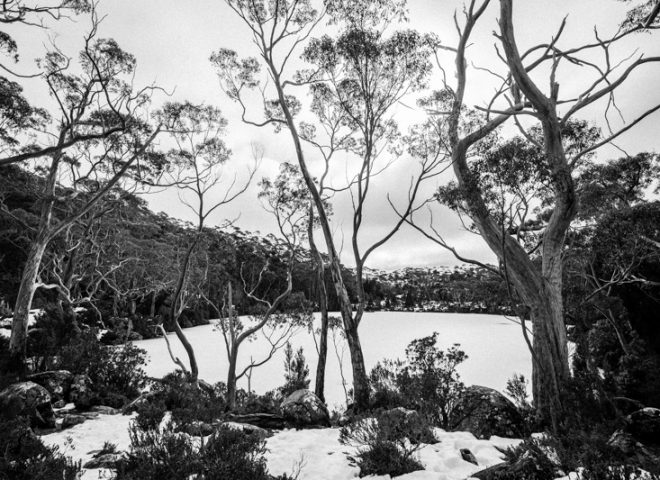 Tasmania, Australia 澳洲塔斯曼尼亞