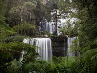 Tasmania, Australia 澳洲塔斯曼尼亞