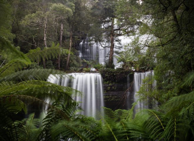 Tasmania, Australia 澳洲塔斯曼尼亞