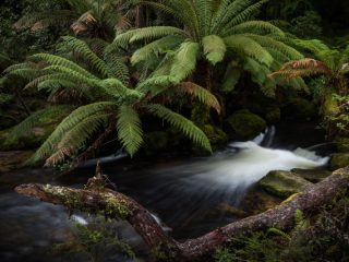 Tasmania, Australia 澳洲塔斯曼尼亞