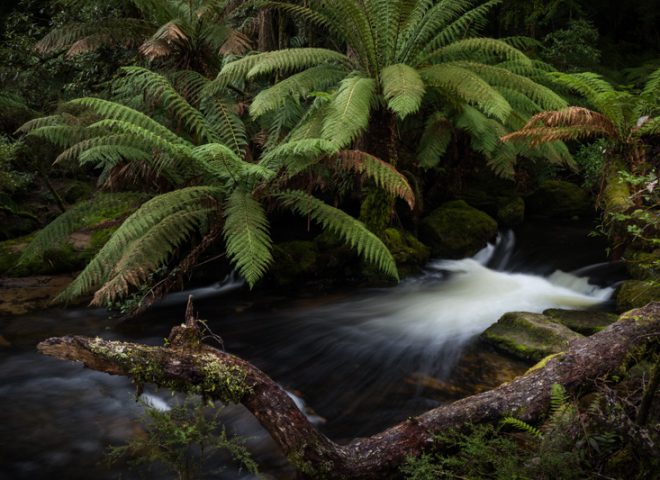 Tasmania, Australia 澳洲塔斯曼尼亞